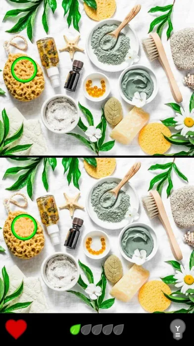 Find the Difference 1000+ Screenshots