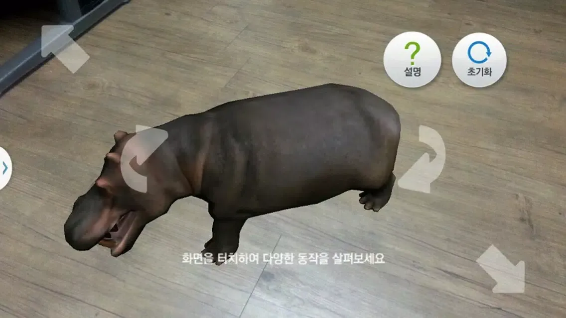 헬로우애니멀 야생동물 친구들應用截圖