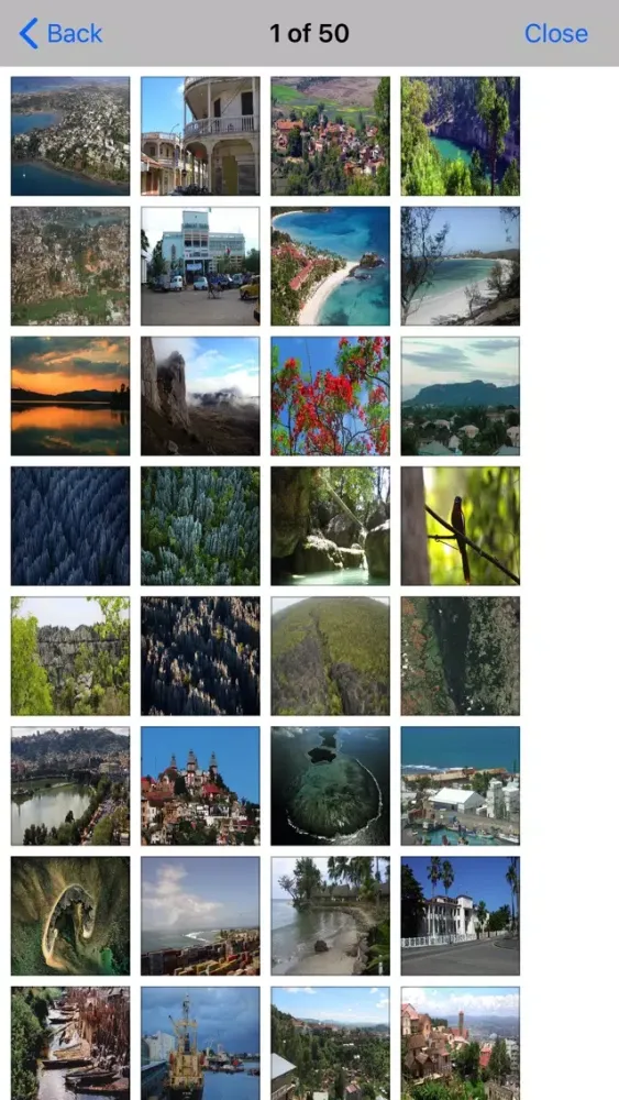 Madagascar Island - Guide スクリーンショット