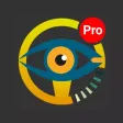 Driving Instructors Pro Driving Instructors Pro