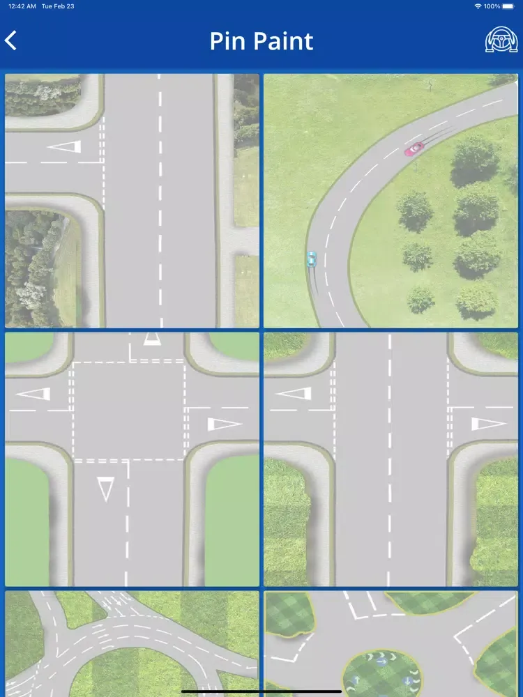 Captures d'écran de Driving Instructors Pro iPad 