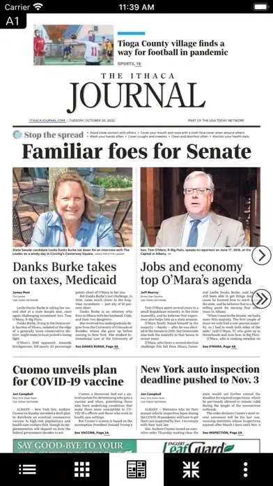 Tangkapan skrin The Ithaca Journal eEdition