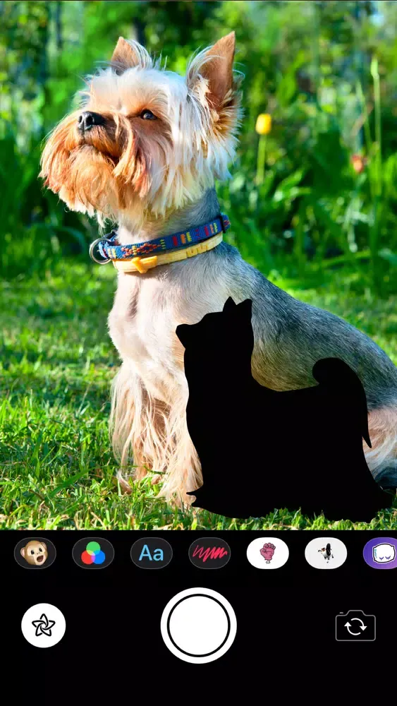 Capturas de pantalla de Dog Silhouettes Stickers