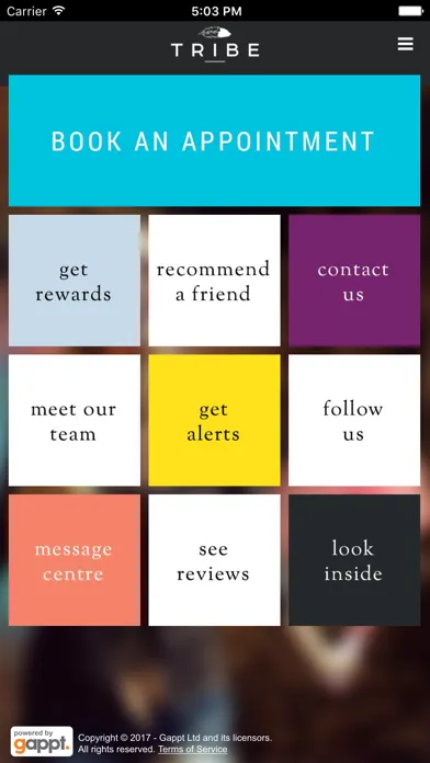 Tribe Salons Screenshots