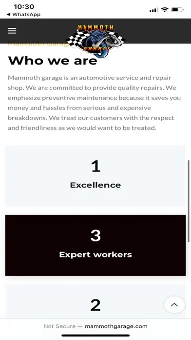 Mammoth Garage Screenshots
