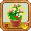 Garden Oasis Game