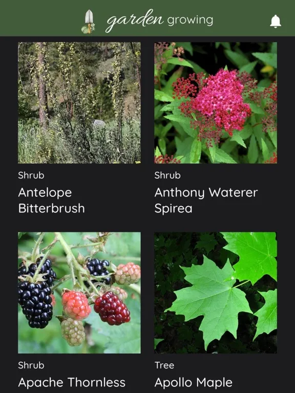 Ảnh chụp màn hình của Garden Growing iPad 