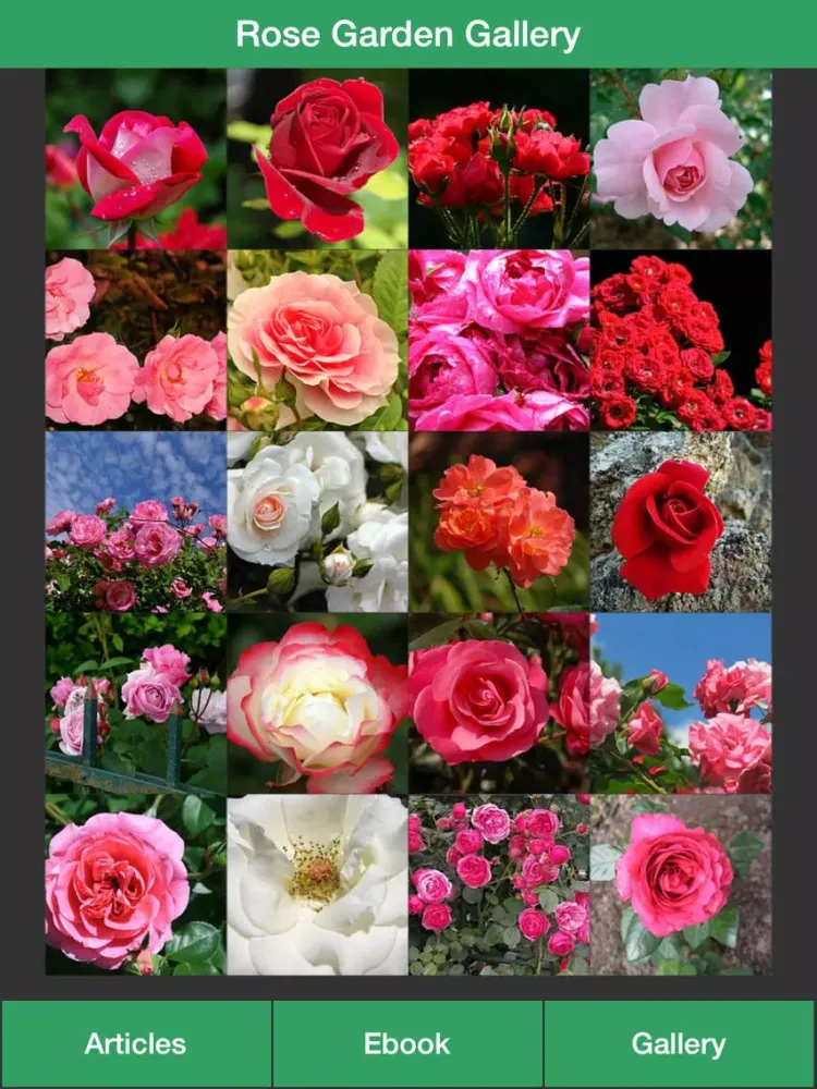 Скриншоты Rose Garden Guide - A Guide To Planting Your Own Rose Garden Successfully! iPad 