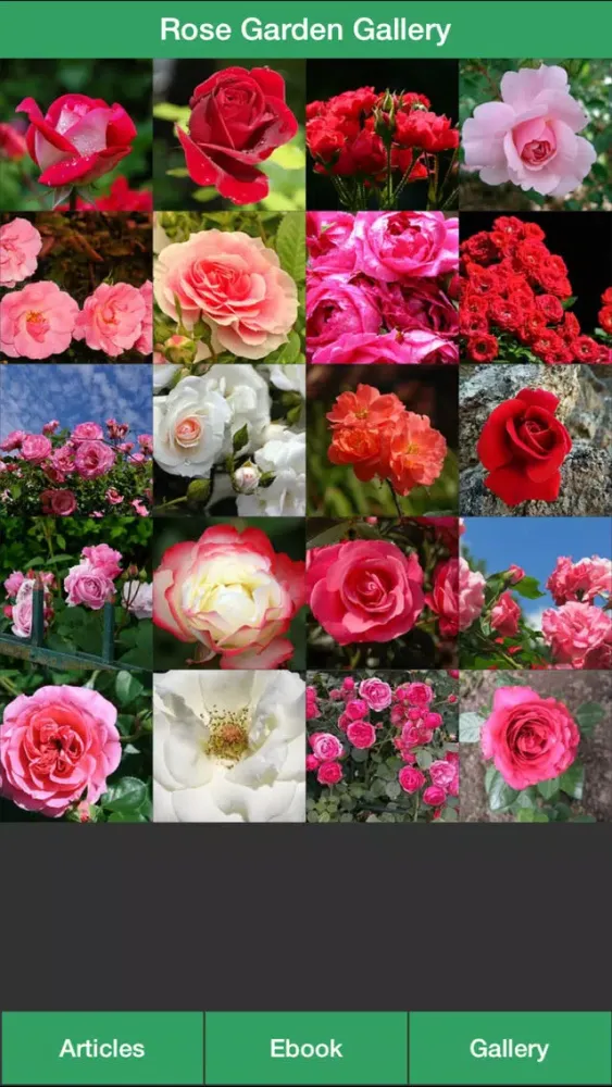 Скриншоты Rose Garden Guide - A Guide To Planting Your Own Rose Garden Successfully!