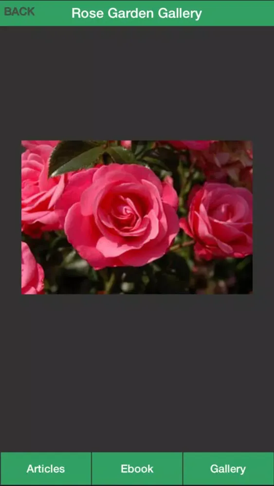 Скриншоты Rose Garden Guide - A Guide To Planting Your Own Rose Garden Successfully!