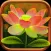 Best Gardening Tips