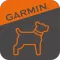 Garmin Alpha