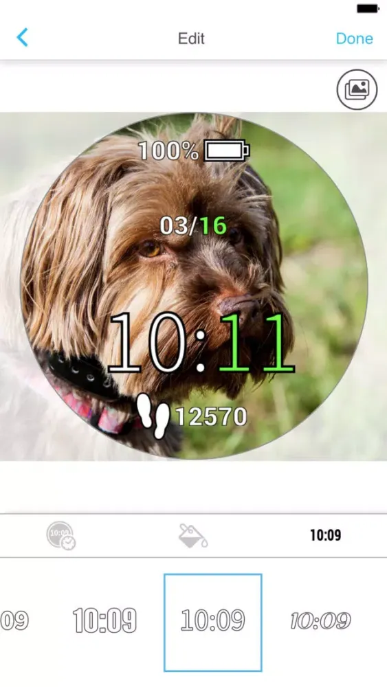 ภาพหน้าจอของ Garmin Face It™