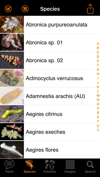 Capturas de pantalla de Nudibranch ID Australia NZ