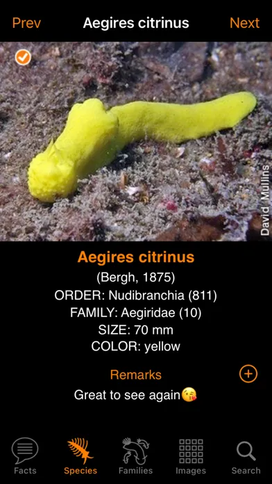 Capturas de pantalla de Nudibranch ID Australia NZ