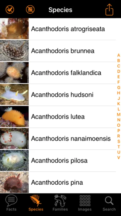 Nudibranch ID Eastern Pacific应用截图