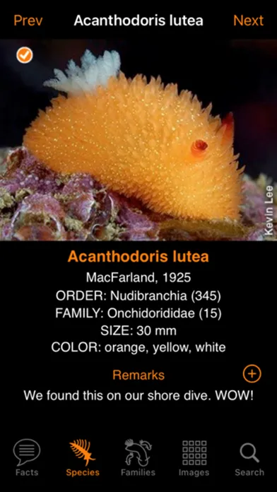 Nudibranch ID Eastern Pacific应用截图