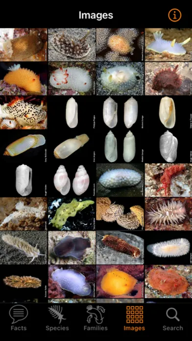 Nudibranch ID Eastern Pacific应用截图