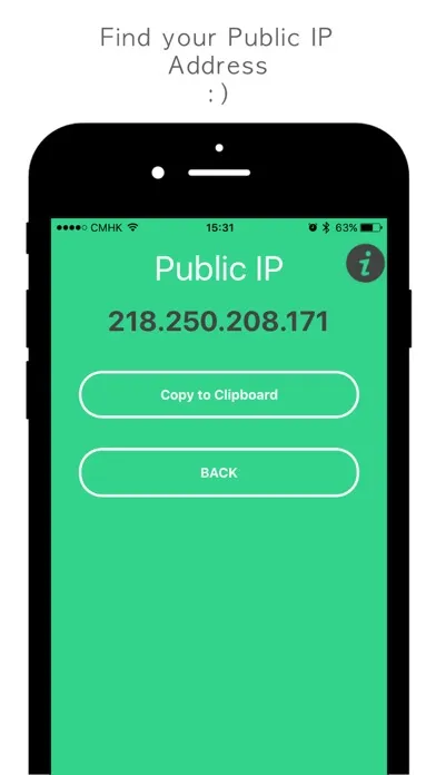 My Public IP - IP地址查询, To Get My IP Address Screenshots