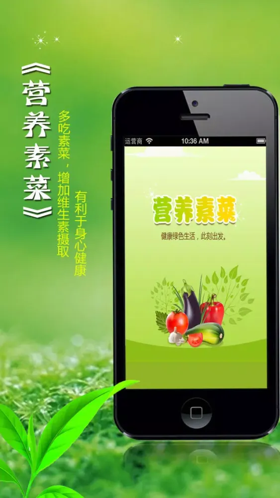 营养素食大全 家常营养经典私房菜美食杰豆果菜谱 下厨房餐桌必备 Ekran Görüntüleri
