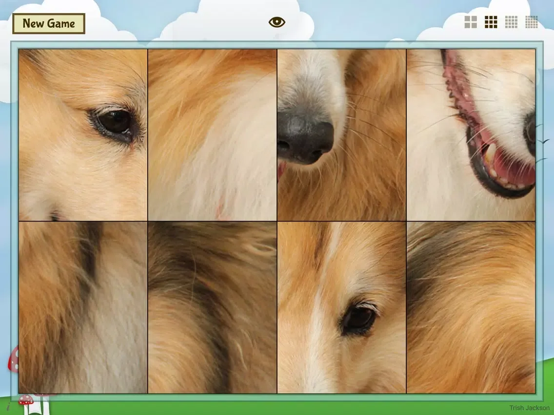 Captures d'écran de Animal Slide Image Puzzle iPad 