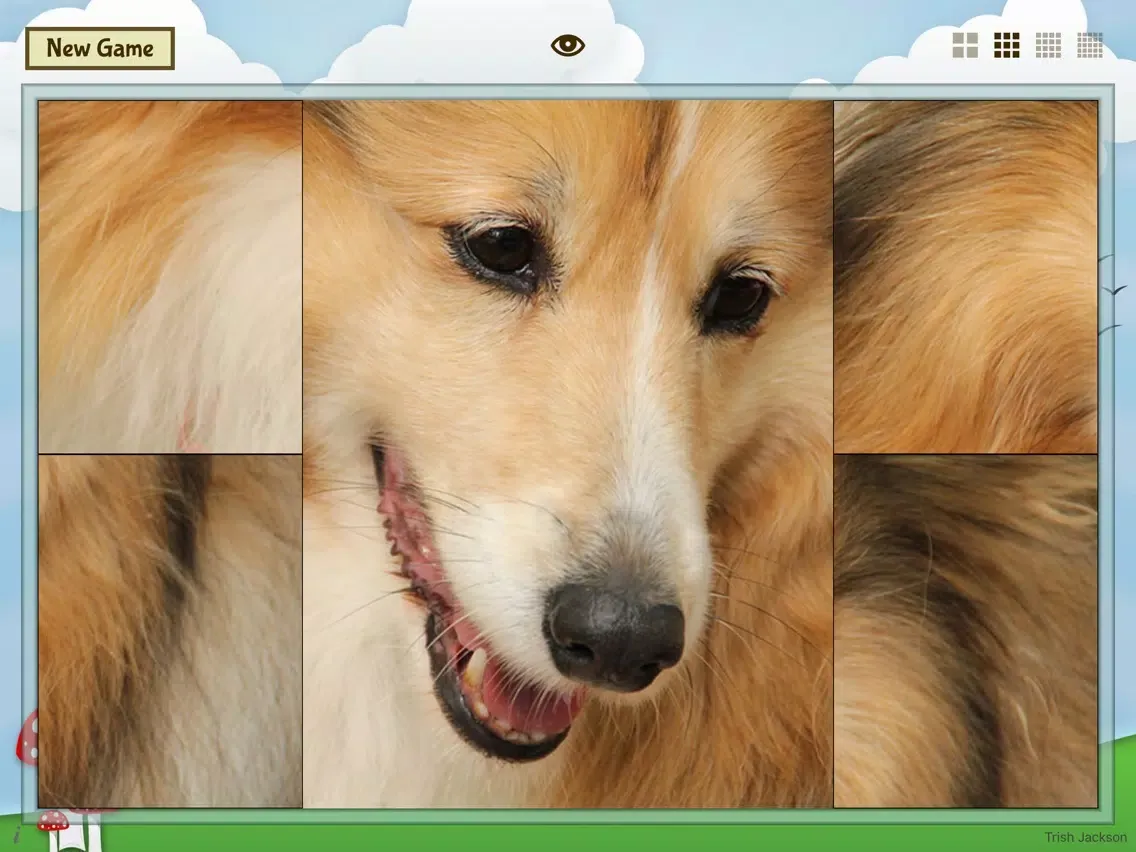 Captures d'écran de Animal Slide Image Puzzle iPad 