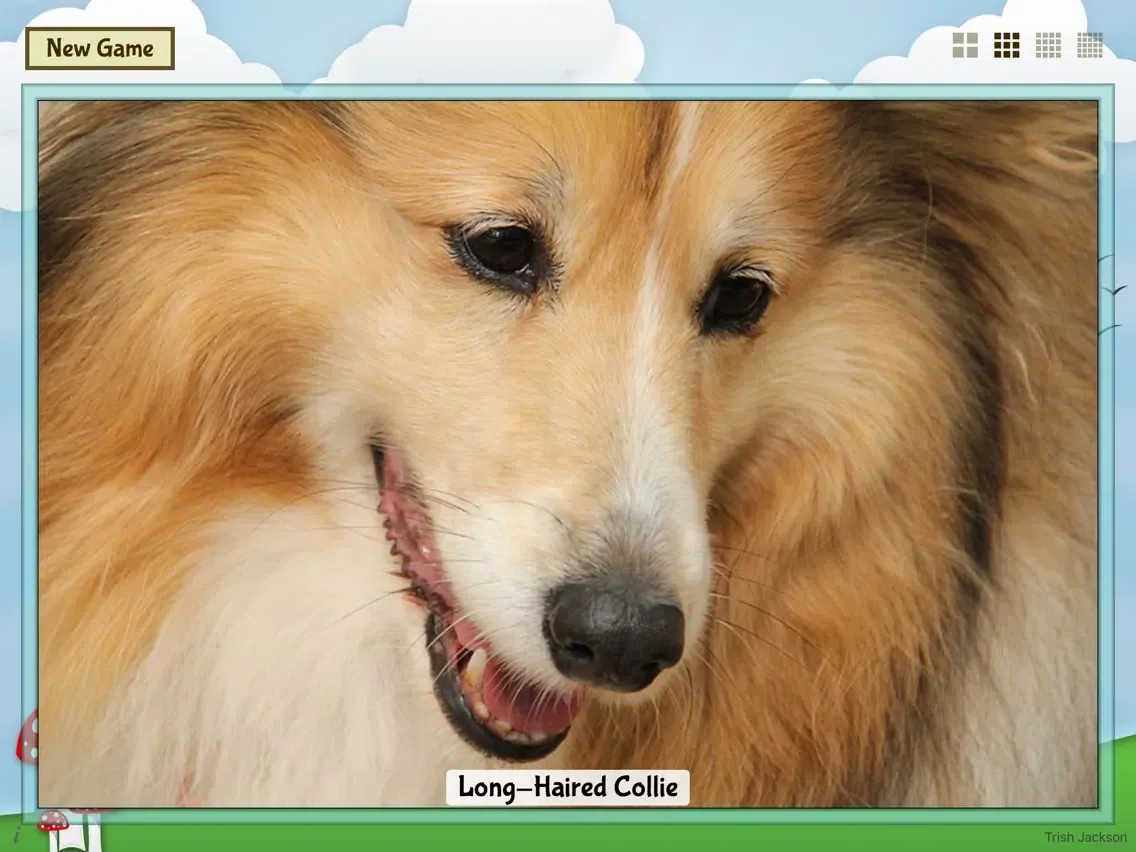 Captures d'écran de Animal Slide Image Puzzle iPad 