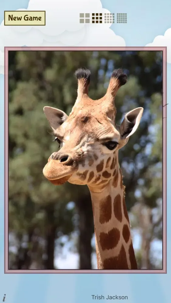 Captures d'écran de Animal Slide Image Puzzle