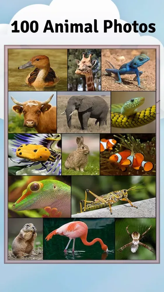 Captures d'écran de Animal Slide Image Puzzle