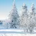 Weihnachtslieder selber singen
