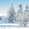 Weihnachtslieder selber singen