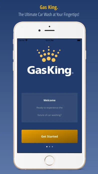 Gas King应用截图