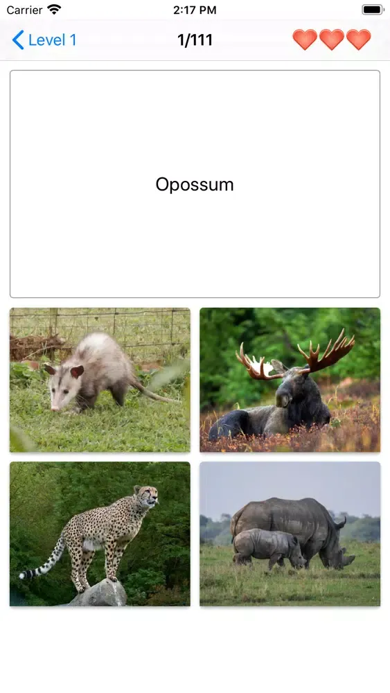 Mammals – Learn All Animals!应用截图