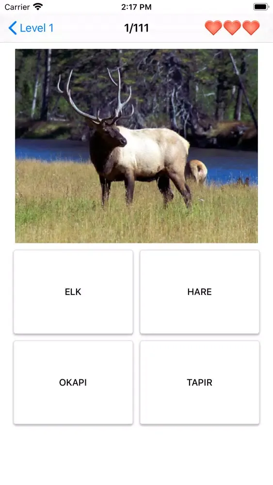 Mammals – Learn All Animals!应用截图