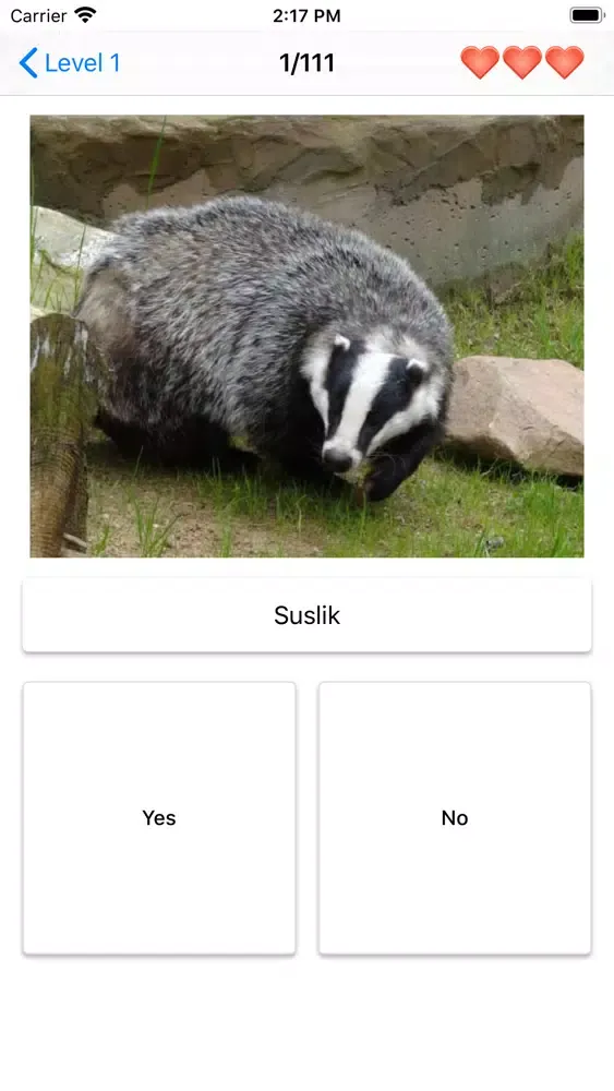 Mammals – Learn All Animals!应用截图