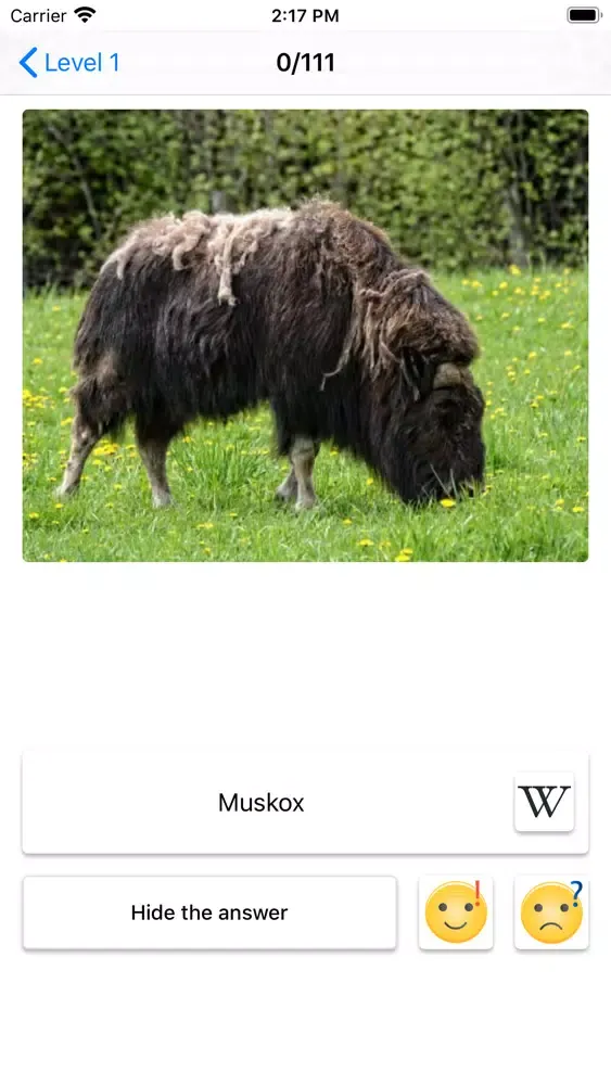 Mammals – Learn All Animals!应用截图