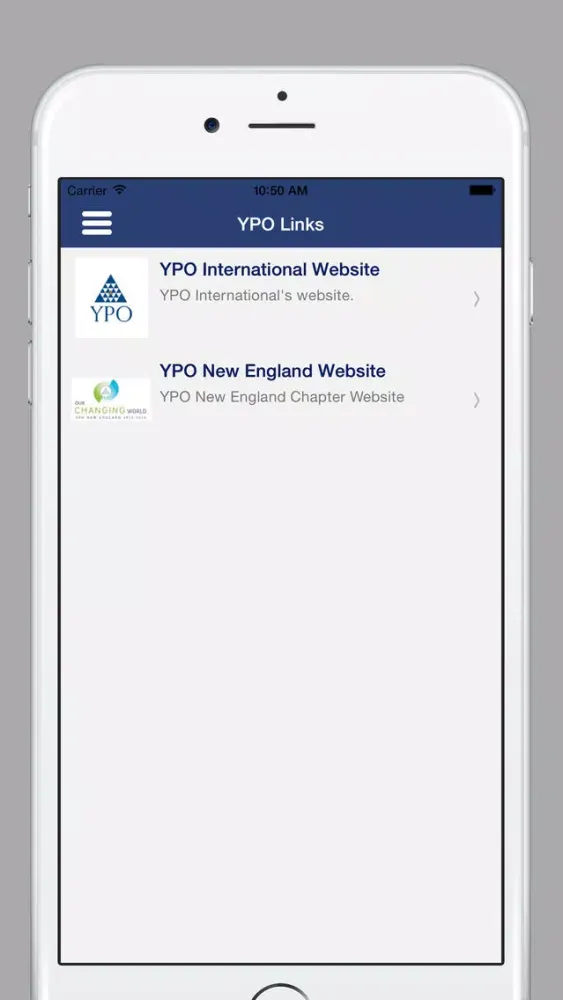 Screenshot di YPO New England Chapter