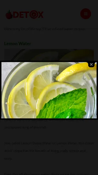 Detox Diet Plan Ekran Görüntüleri