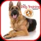 Dog Training for beginners