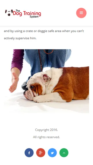 Capturas de tela do Dog Training for beginners