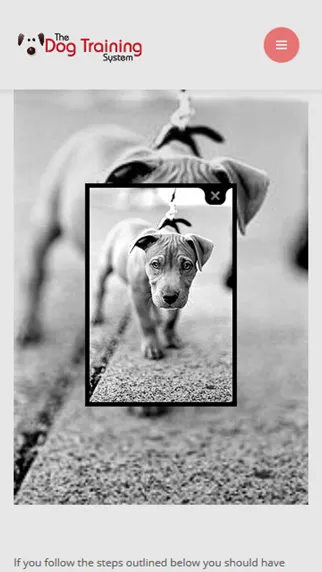 Capturas de tela do Dog Training for beginners