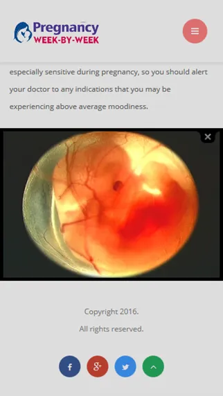 Capturas de tela do Pregnancy Week by Week Symptoms