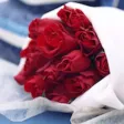 Flower Wallpaper HD