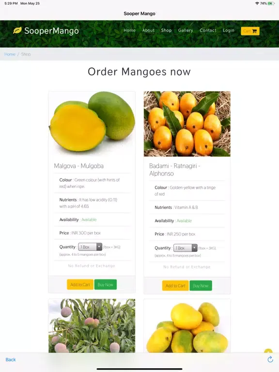 Tangkapan layar Sooper Mango iPad 