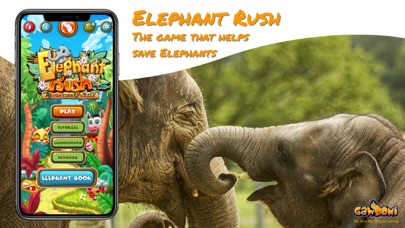 Captures d'écran de Elephant Rush