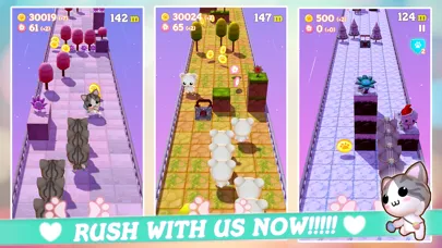 Pet Pet Rush スクリーンショット