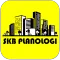 SKB Penata Ruang