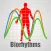 Biorhythm Chart