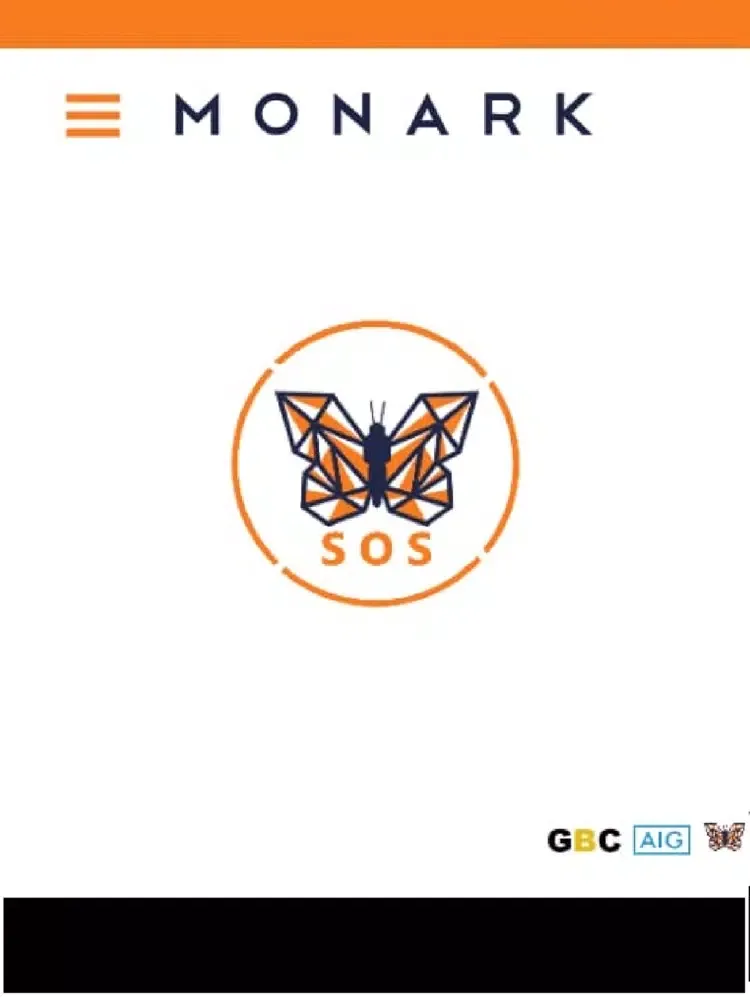 Скриншоты Monark iPad 