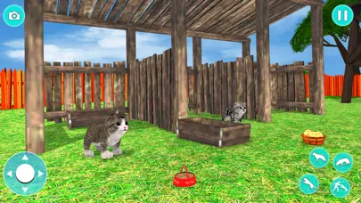 Virtual Cat Simulator 3D Screenshots